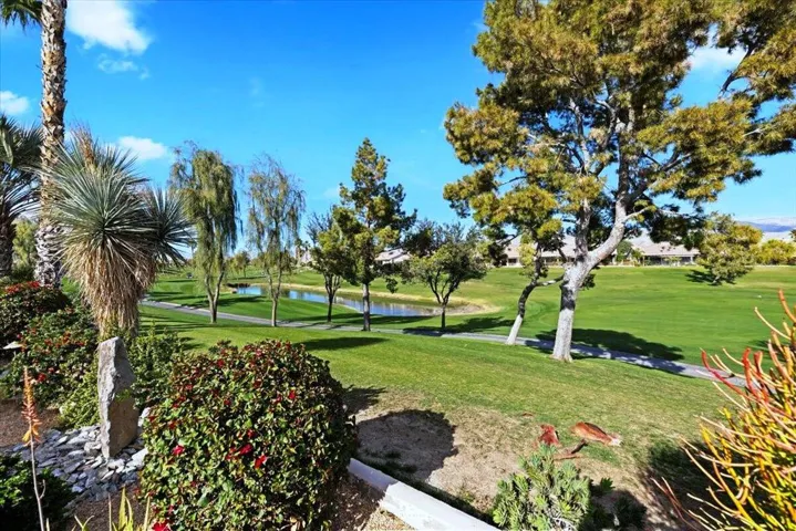 52-Back Property View