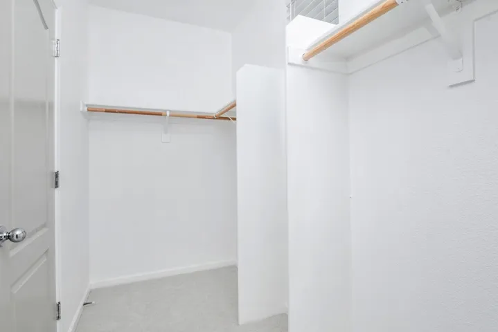 Spacious closet featuring light colored carpet