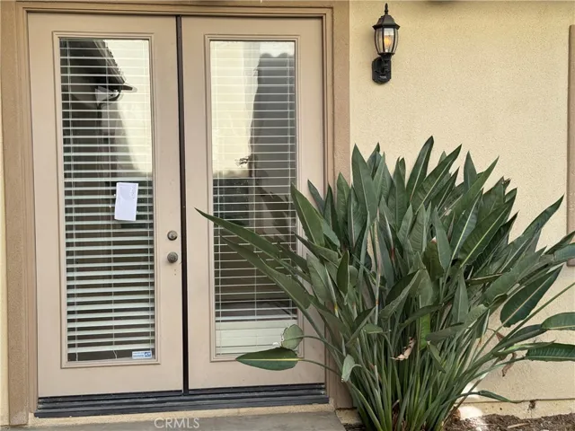 French Door Entry Into The Kitchen. Full-Grown Birds of Paradise Plant.