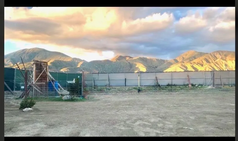 IMG_20260128_150323 (4)