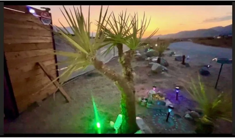 IMG_20260128_150323 (5)