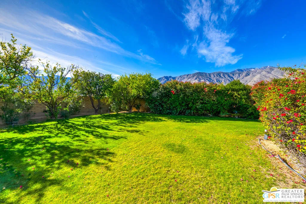 1019 Andreas Palms Drive, Palm Springs, California 92264 home-pic-42