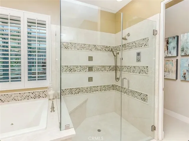 Primary Shower