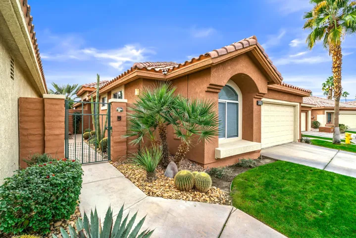 IMG-4