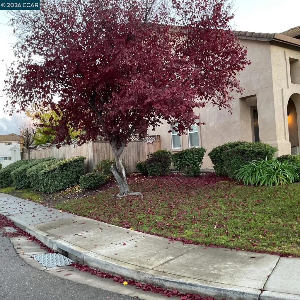 2096 Goldpine Way, Antioch, California 94509 home-pic-5
