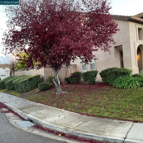 Corner Lot