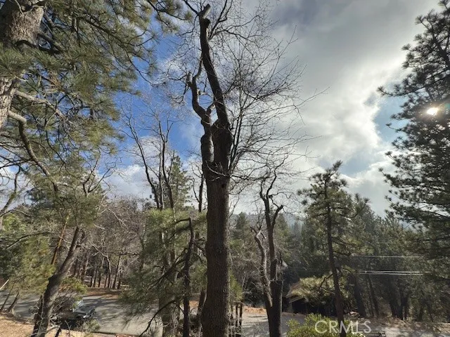 33058 Juniper Lane, Green Valley Lake, California 92341 home-pic-26