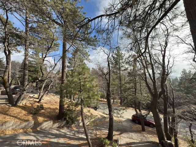 33058 Juniper Lane, Green Valley Lake, California 92341 home-pic-3