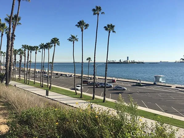 Near Junipero Beach