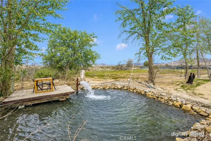 Leaves digitally added to trees for seasonal appearance