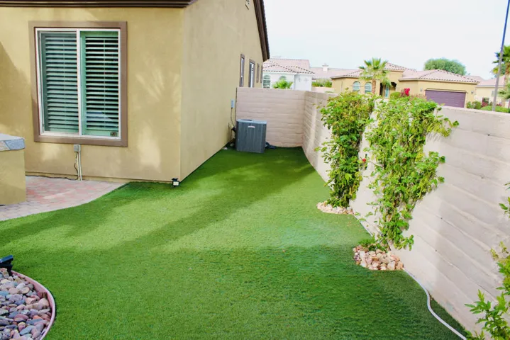 Back grass landscape