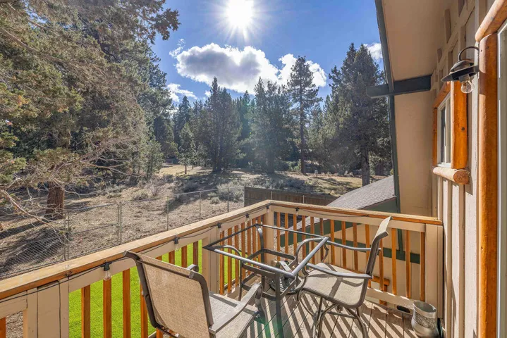 Backyard1-
