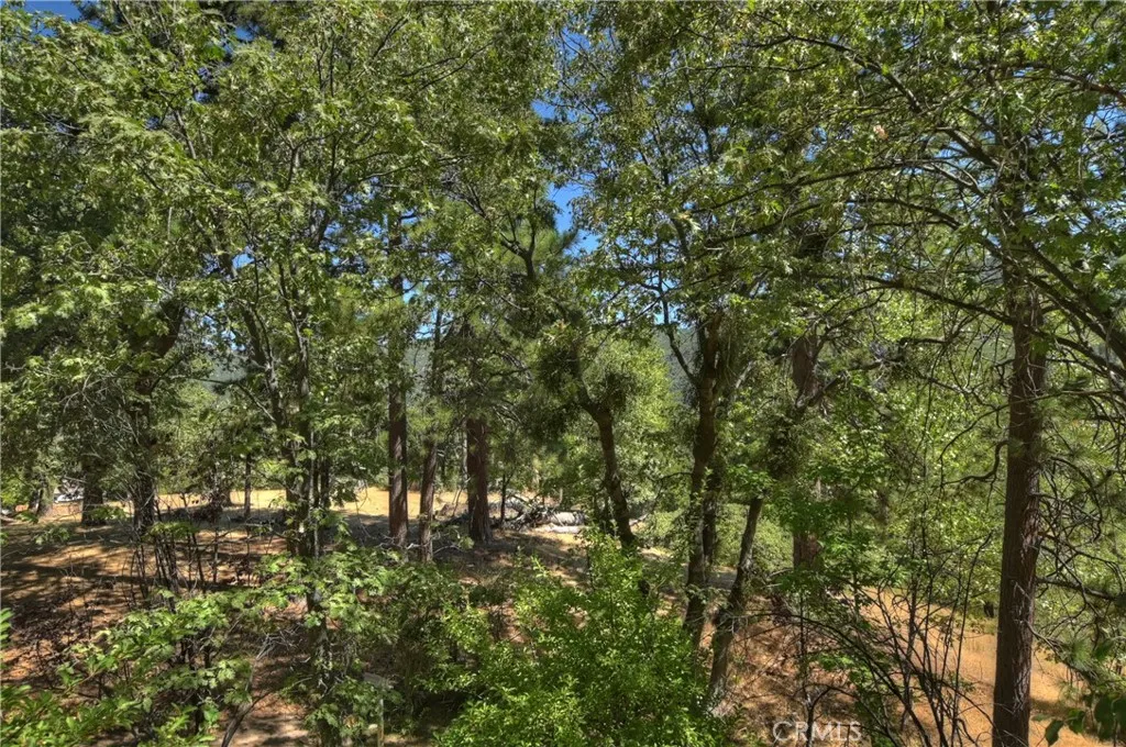 30184 Skyline Drive, Running Springs, California 92382 home-pic-9