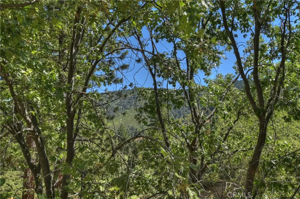 30184 Skyline Drive, Running Springs, California 92382 home-pic-10