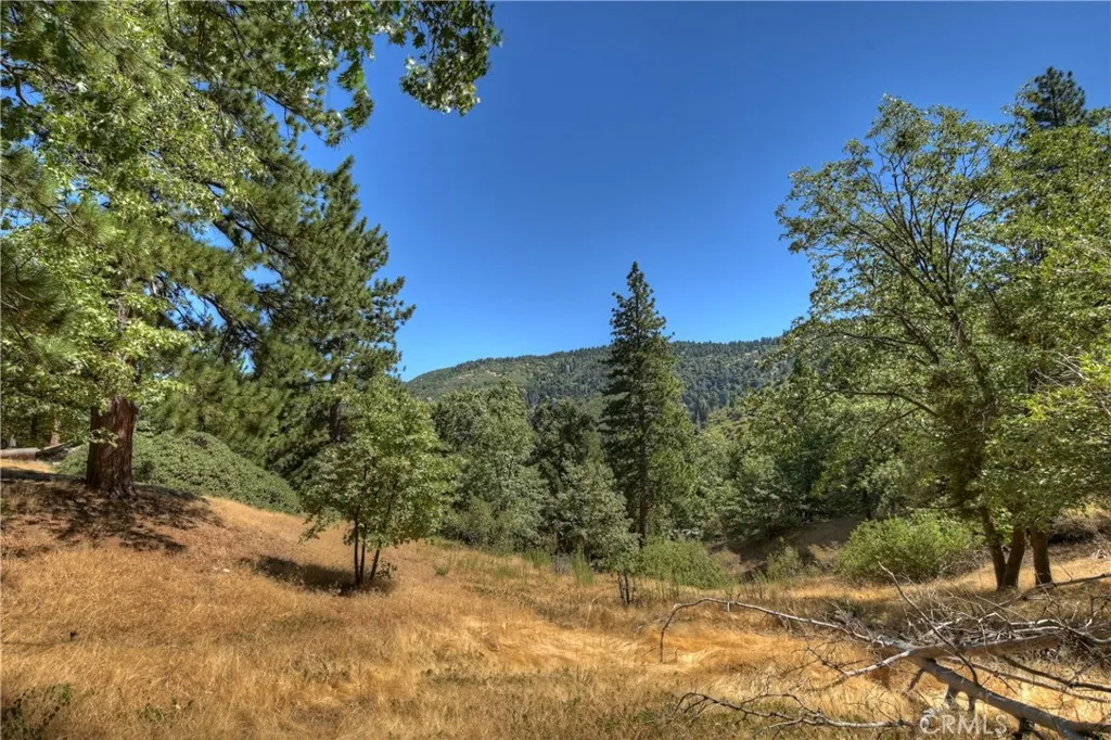 30184 Skyline Drive, Running Springs, California 92382 home-pic-45