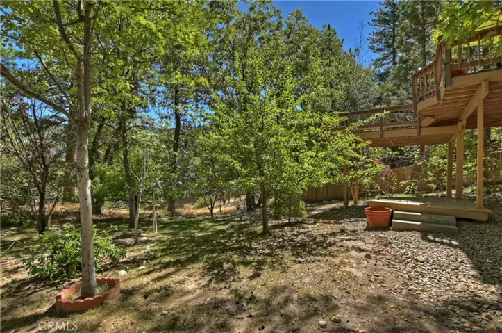 Fruit Trees In Back Yard