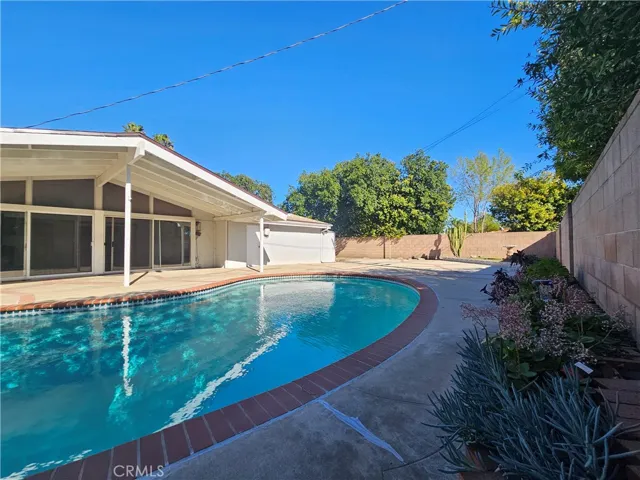 JUMP IN! TIS THE SEASON