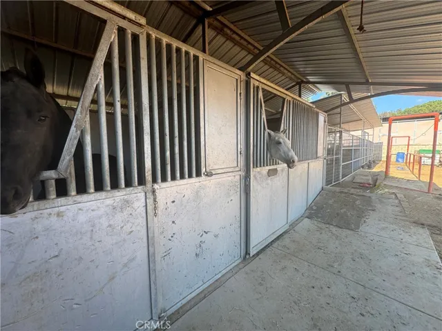 HORSE STALLS