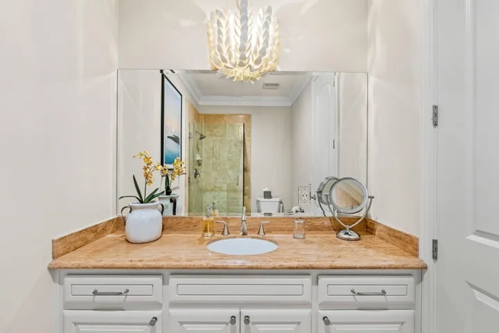 Bathroom with a shower stall, vanity, ornamental molding, and a chandelier