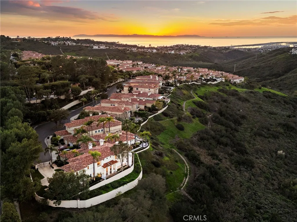 1 Monterey Pine, Newport Coast, California 92657 home-pic-61