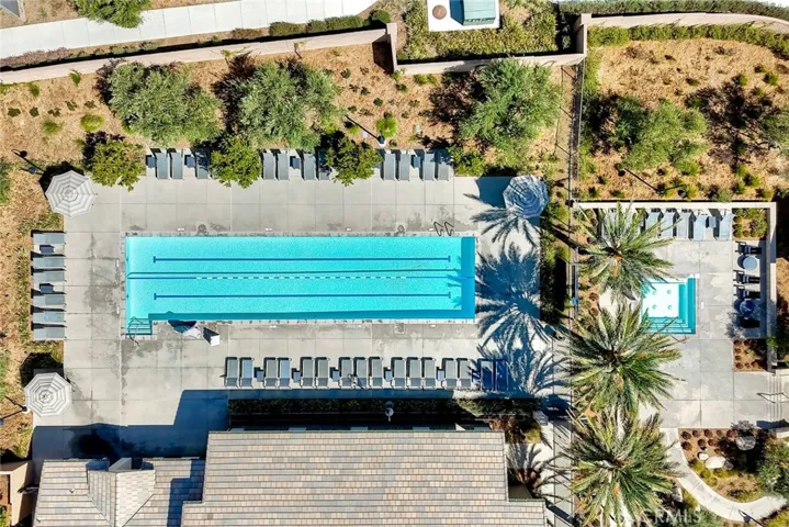 Lap pool
