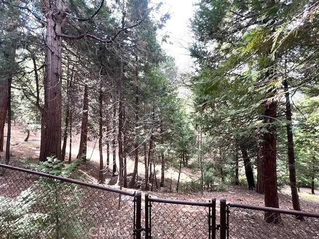 338 Mittry, Lake Arrowhead, California 92352 home-pic-23