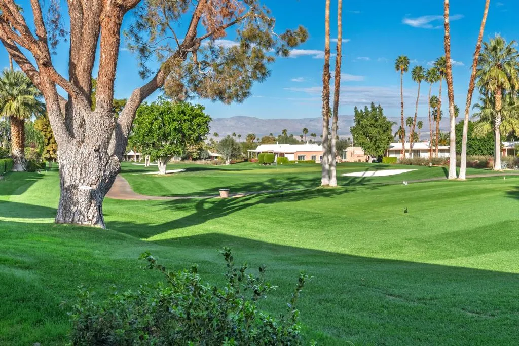 46860 Amir Drive, Palm Desert, California 92260 home-pic-37