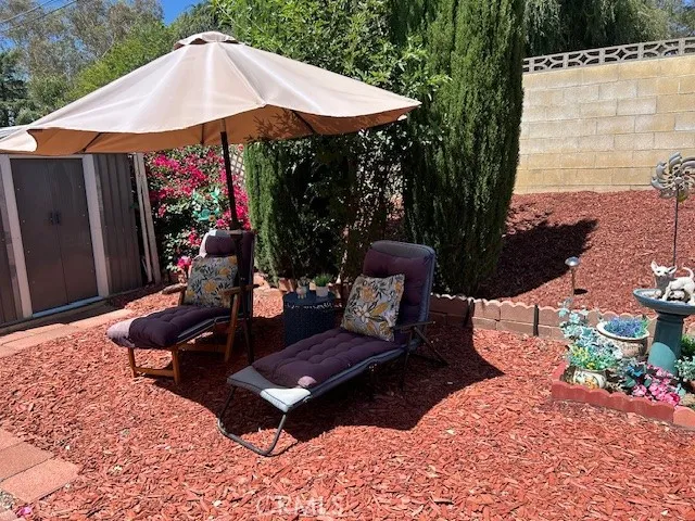 Shaded lounging area in backyard