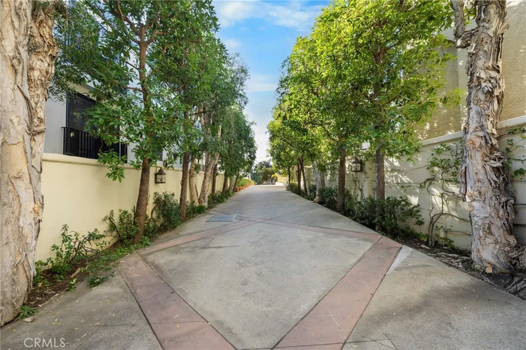 453 S Barrington, Los Angeles, California 90049 home-pic-23