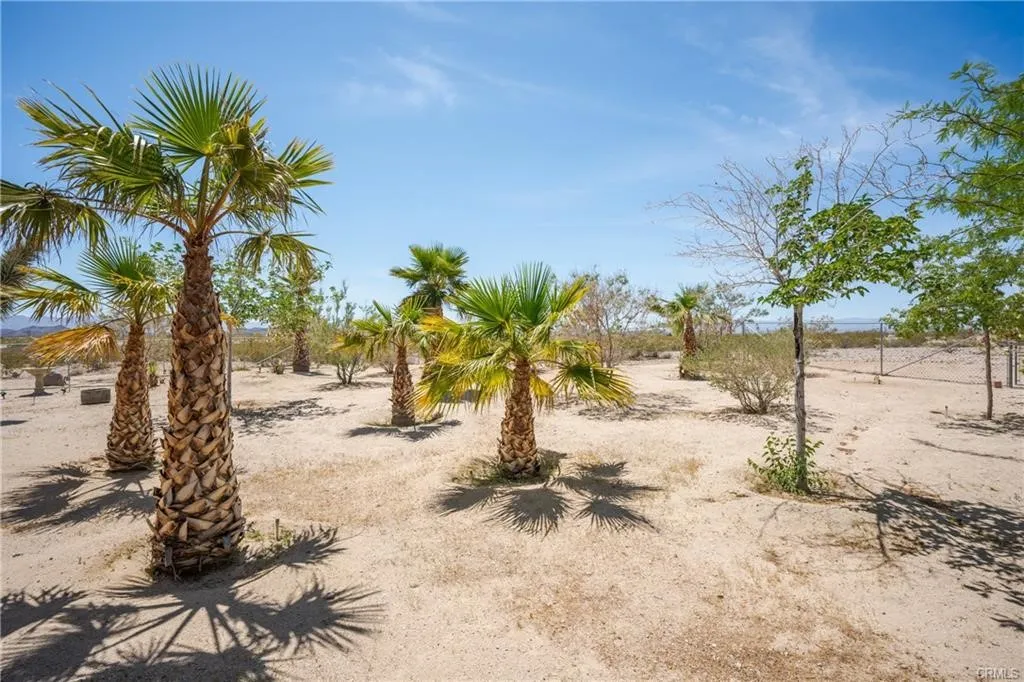 66125 Brant Cross, Joshua Tree, California 92252 home-pic-10
