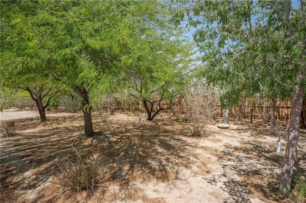 66125 Brant Cross, Joshua Tree, California 92252 home-pic-11