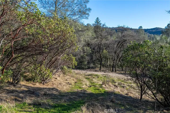 0 Crown Point, Forest Ranch, California 95942