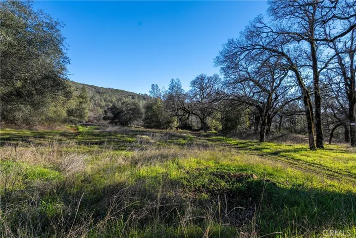 0 Crown Point, Forest Ranch, California 95942