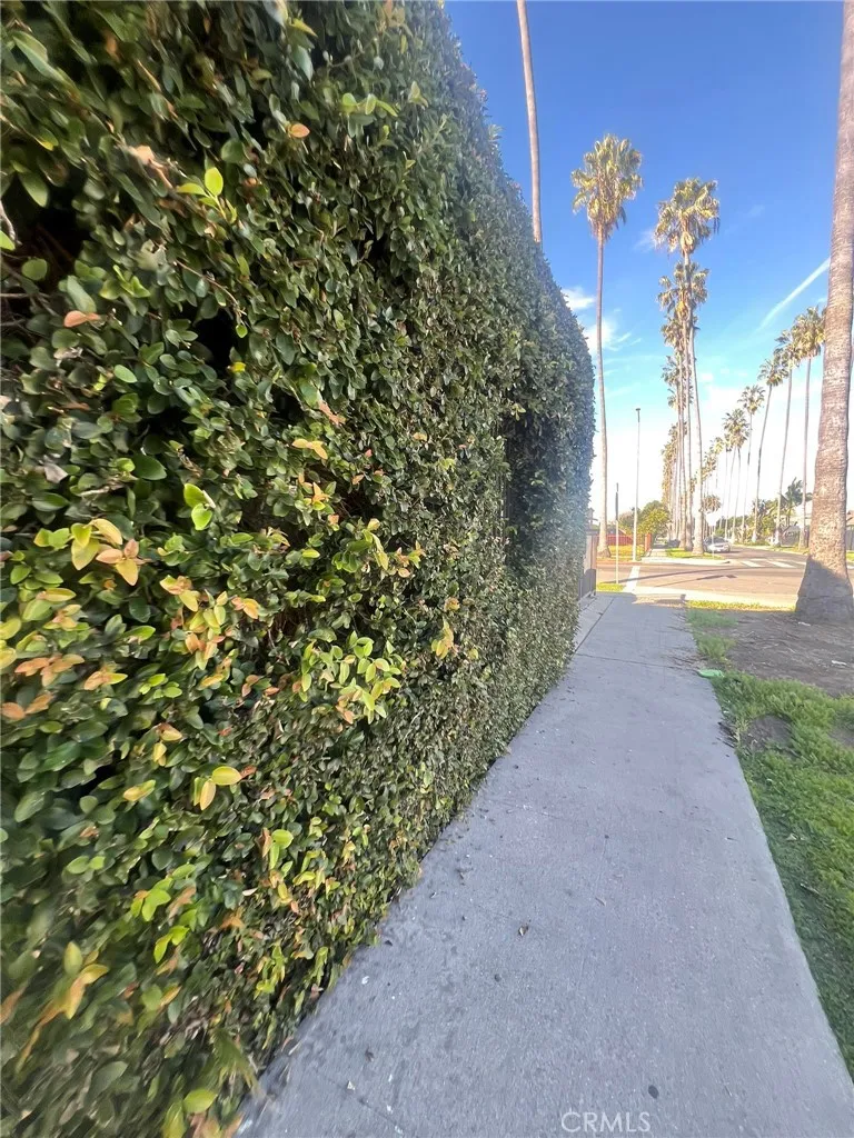 2000 W 54th, Los Angeles, California 90062 home-pic-48