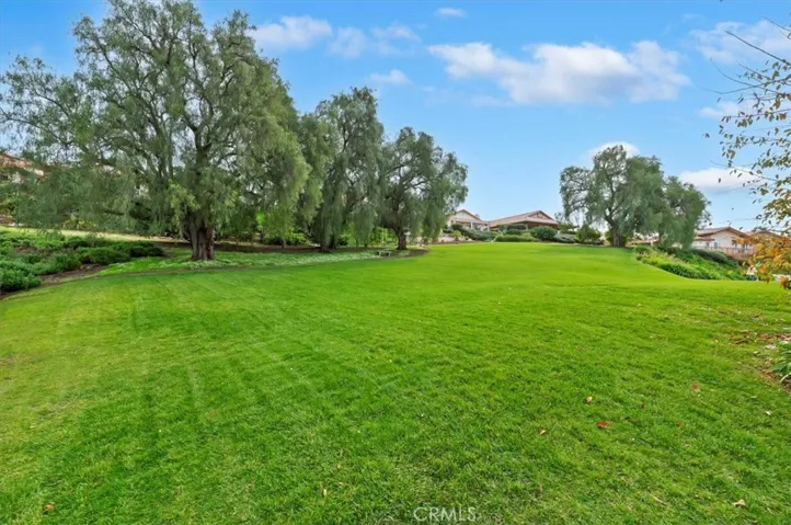 Lush park like settings