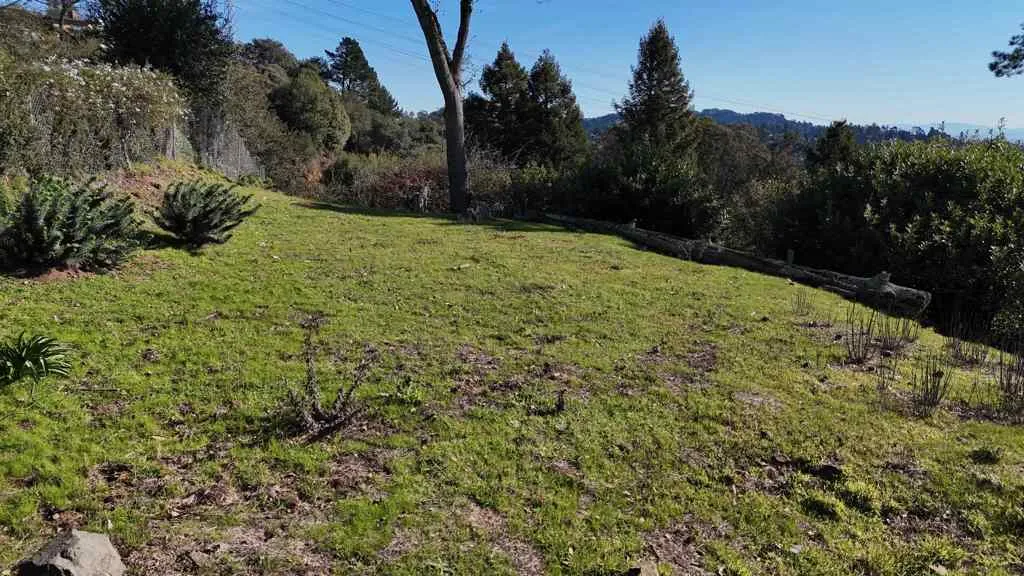 View of green lawn