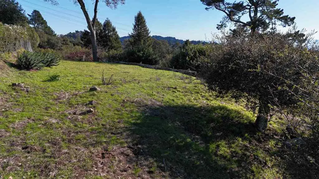 View of grassy yard