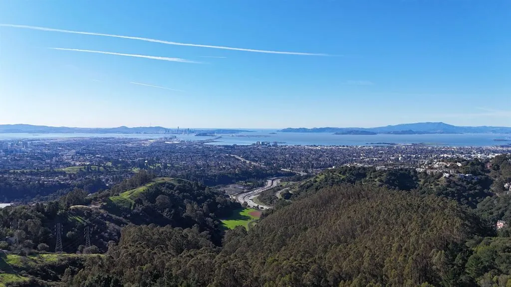 Aerial view of a forest and a water and mountain view