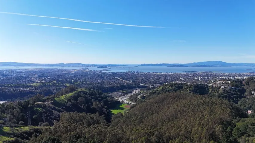 Aerial view of a forest and a water and mountain view
