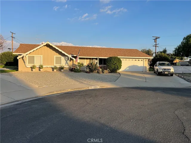 Low Maintenance Yard