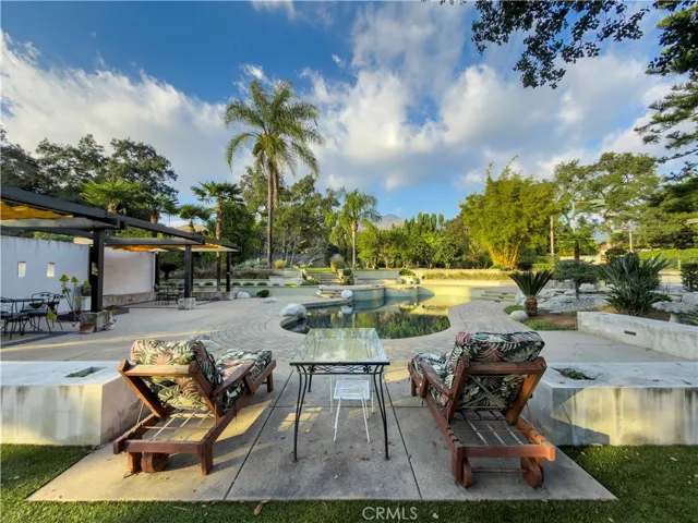 Back yard