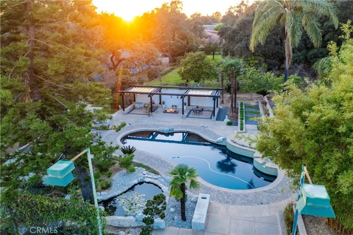 Back yard