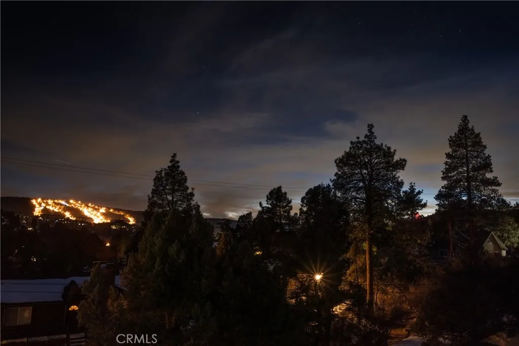 1117 Crater Mountain, Big Bear City, California 92314 home-pic-2