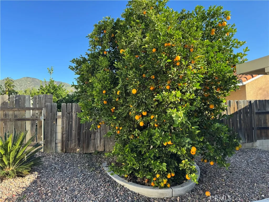 1614 Buckeye, Highland, California 92346 home-pic-18