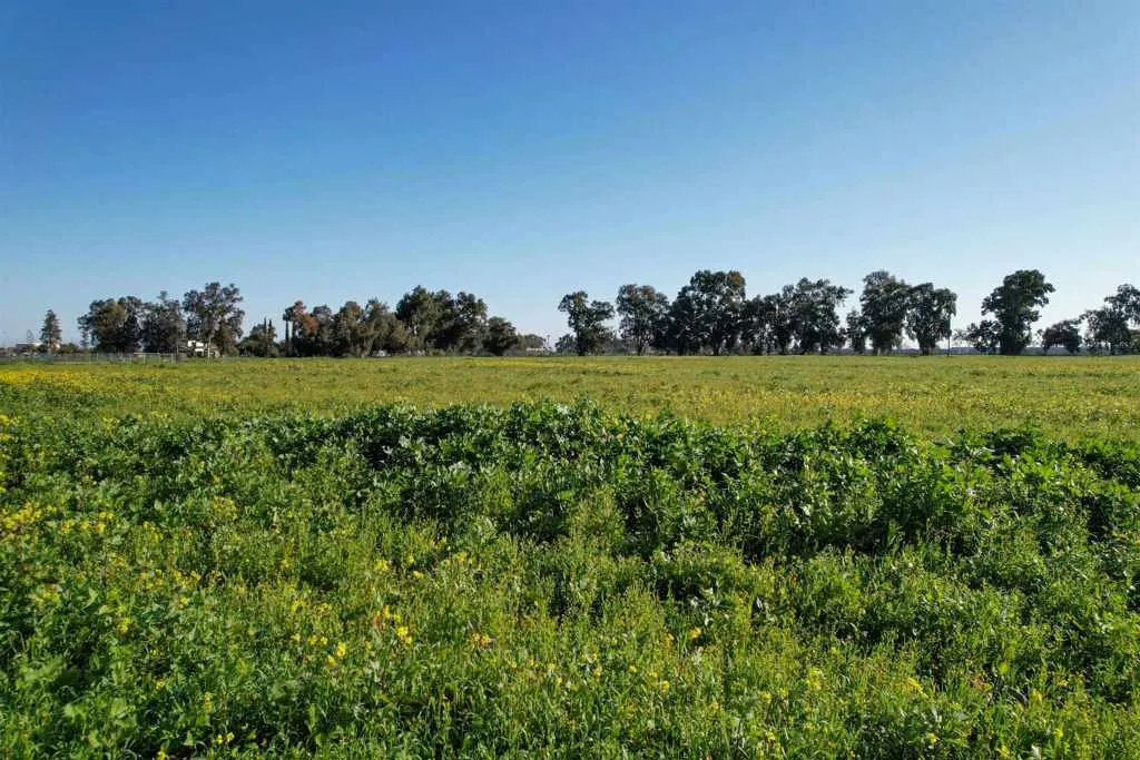 View of local wilderness with rural landscape