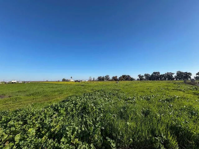 View of local wilderness with rural landscape