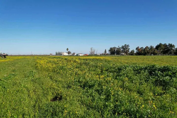 View of undeveloped land with rural landscape