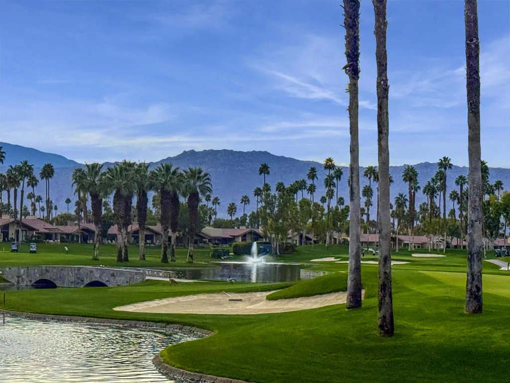 409 Bouquet Canyon Drive, Palm Desert, California 92211 home-pic-46