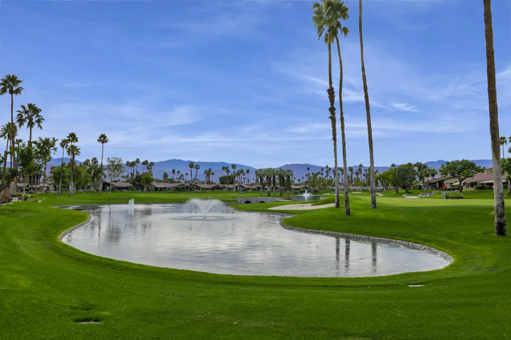 409 Bouquet Canyon Drive, Palm Desert, California 92211 home-pic-43