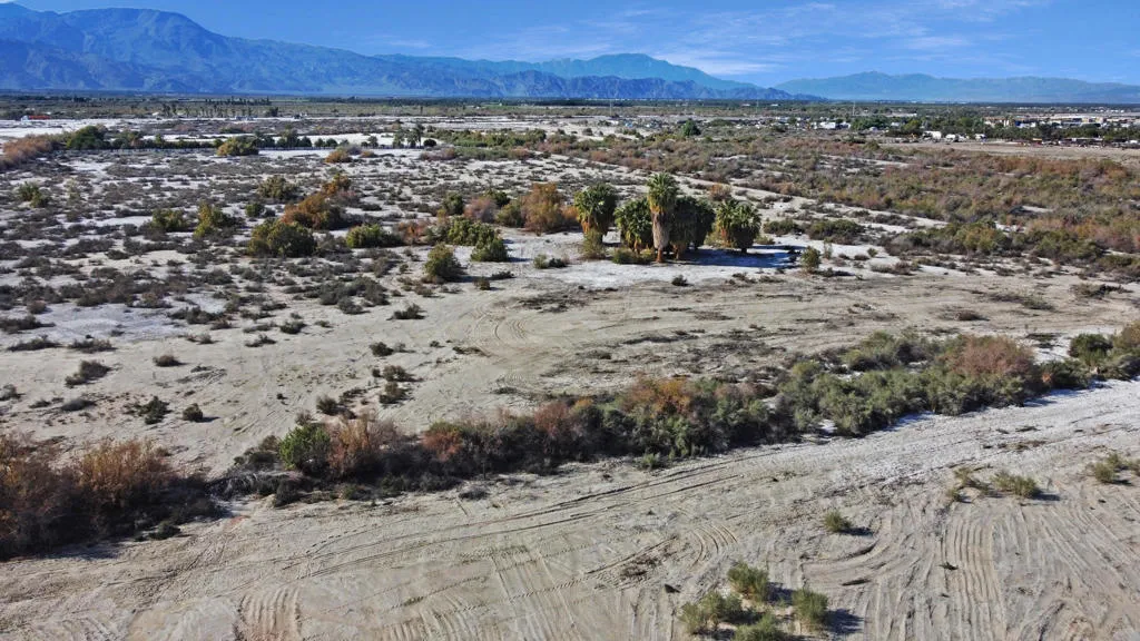 dji_fly_20260118_West.jpg (1)